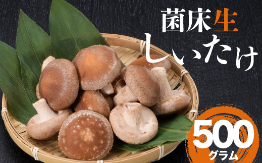 葛尾村産菌床しいたけ500g