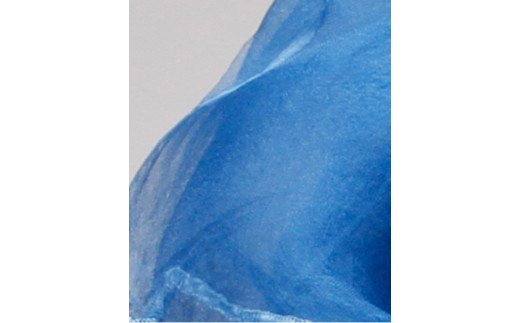 【高級純国産 富岡シルク100％】 オーガンジーストール”草木染”：ブルー