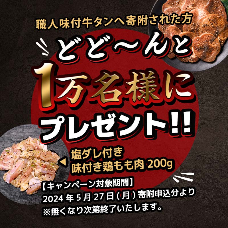 【職人味付け牛タンシリーズ】特製塩ダレ牛タン 薄切り 600g（300g×2） F21E-147