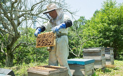 純粋百花蜜 1000g 富岡国産純粋はちみつ							