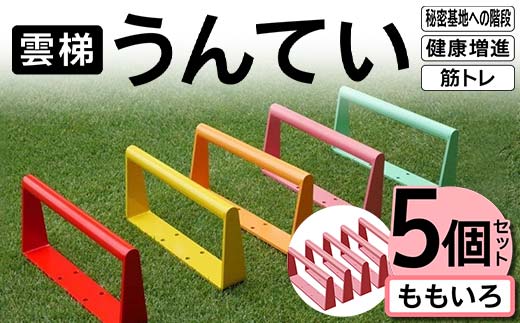 雲梯（うんてい）5個セット ＜ももいろ＞ 雲梯 ウンテイ 健康 健康増進 ダイエット 筋トレ 屋根裏や秘密基地への階段 F21E-261