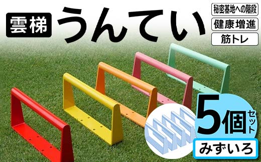 雲梯（うんてい）5個セット ＜みずいろ＞ 雲梯 ウンテイ 健康 健康増進 ダイエット 筋トレ 屋根裏や秘密基地への階段 F21E-263