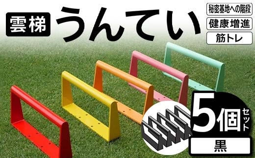 雲梯（うんてい）5個セット ＜黒＞ 雲梯 ウンテイ 健康 健康増進 ダイエット 筋トレ 屋根裏や秘密基地への階段 F21E-266