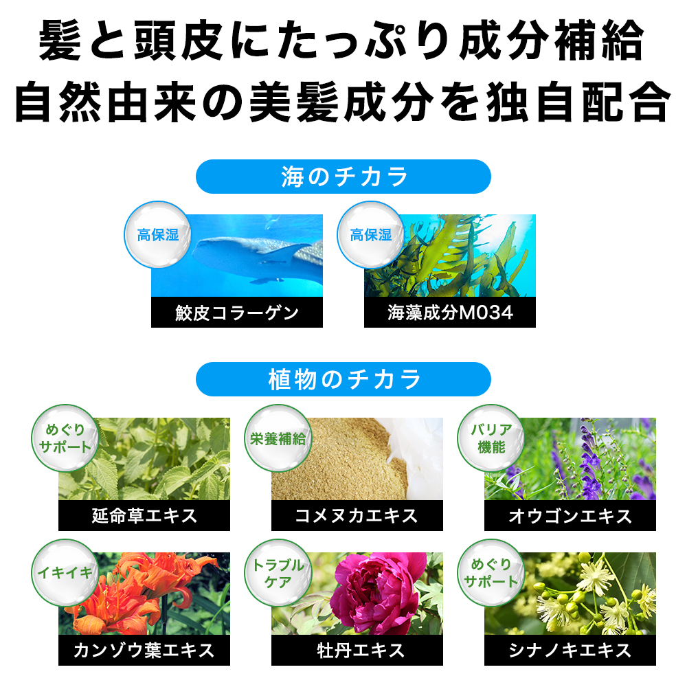 スーパーサイヤ 薬用 育毛剤 120ml×12本