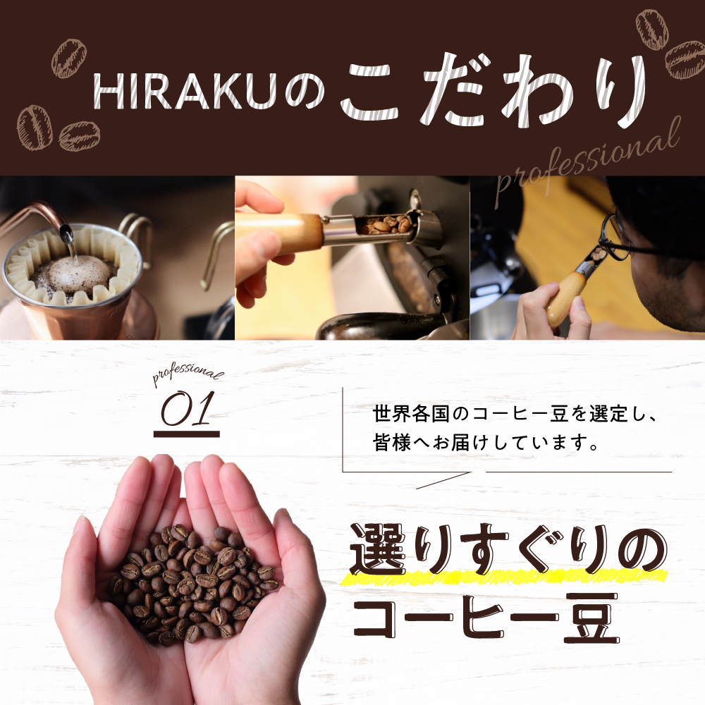 【3ヵ月定期便】自家焙煎コーヒー豆 100g×3ヵ月 種類おまかせ