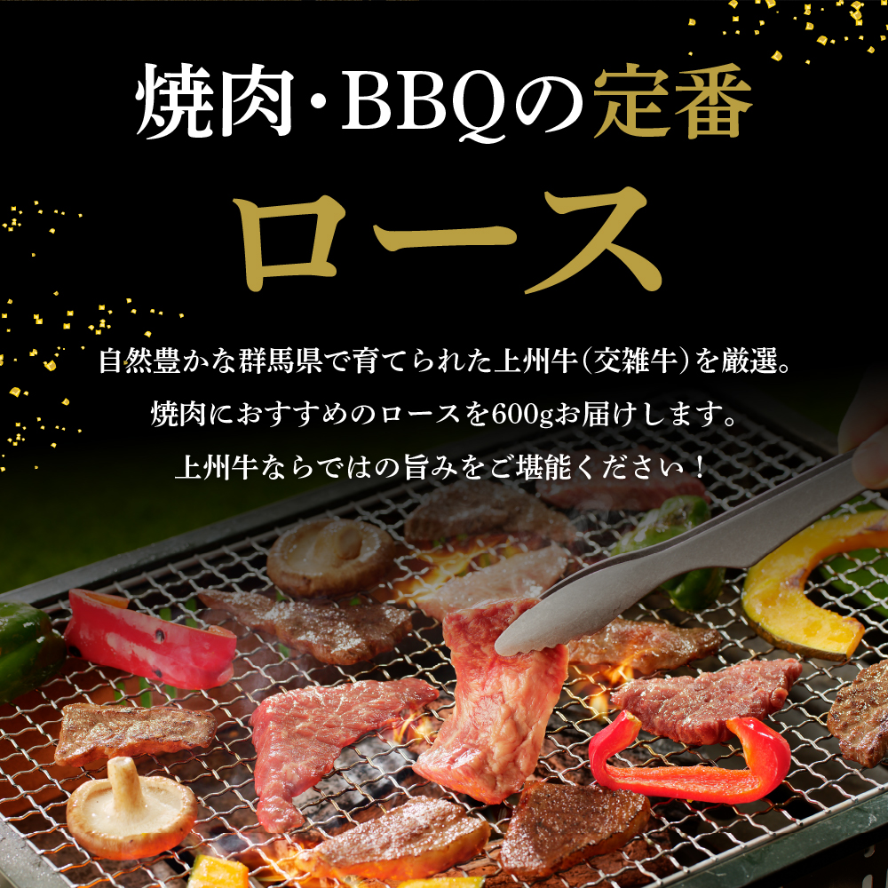 牛肉 ロース 【上州牛】 600g  群馬 県 千代田町