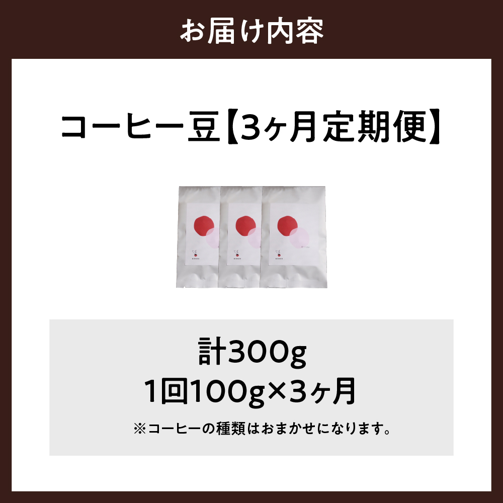 【3ヵ月定期便】自家焙煎コーヒー豆 100g×3ヵ月 種類おまかせ