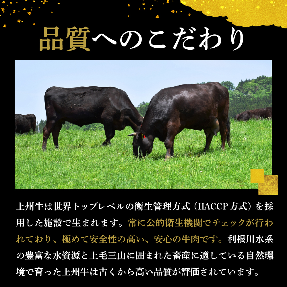 牛肉 サーロイン 【上州和牛】 ブランド 牛 1kg (250g×4枚) 群馬 県 千代田町