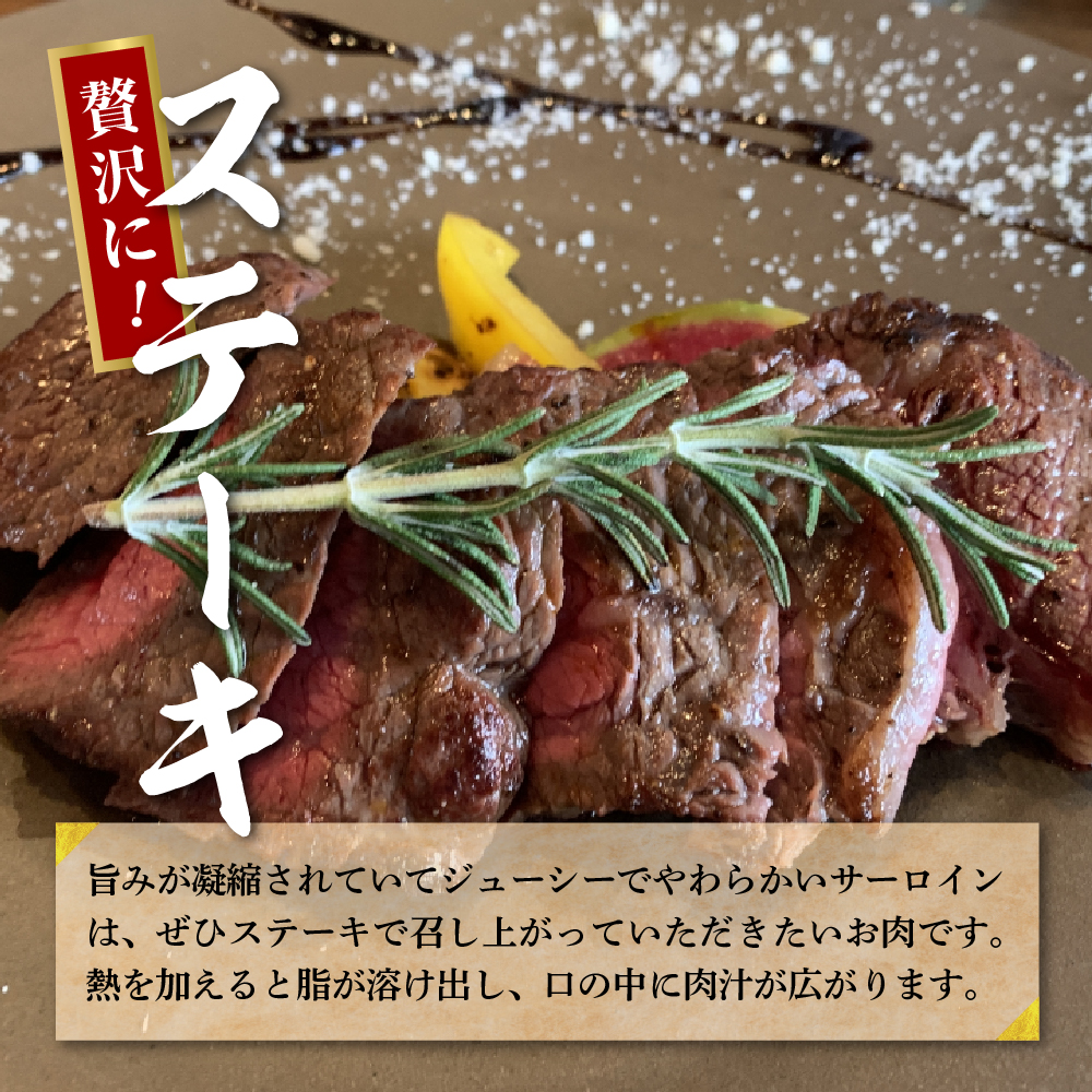 牛肉 サーロイン 【上州和牛】 ブランド 牛 1kg (250g×4枚) 群馬 県 千代田町