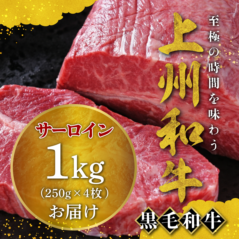 牛肉 サーロイン 【上州和牛】 ブランド 牛 1kg (250g×4枚) 群馬 県 千代田町