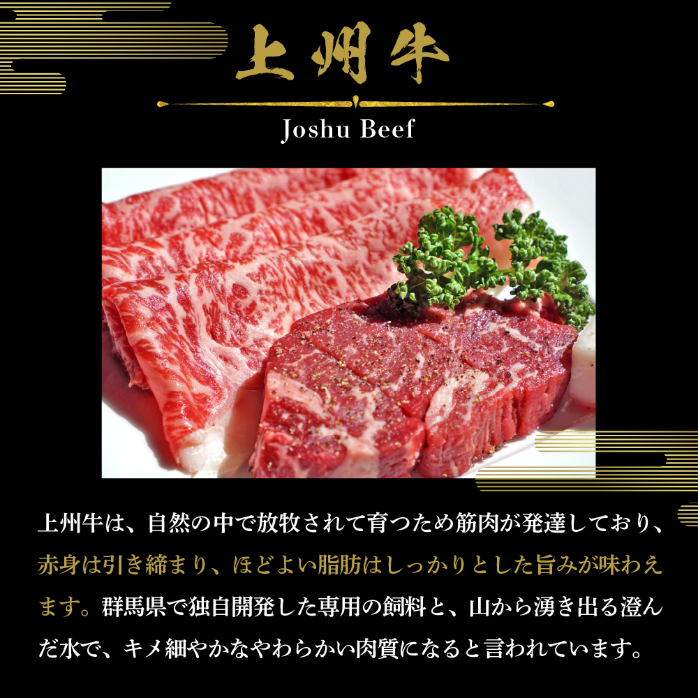 牛肉 ステーキ サーロイン 【上州牛】 750g 群馬 県 千代田町