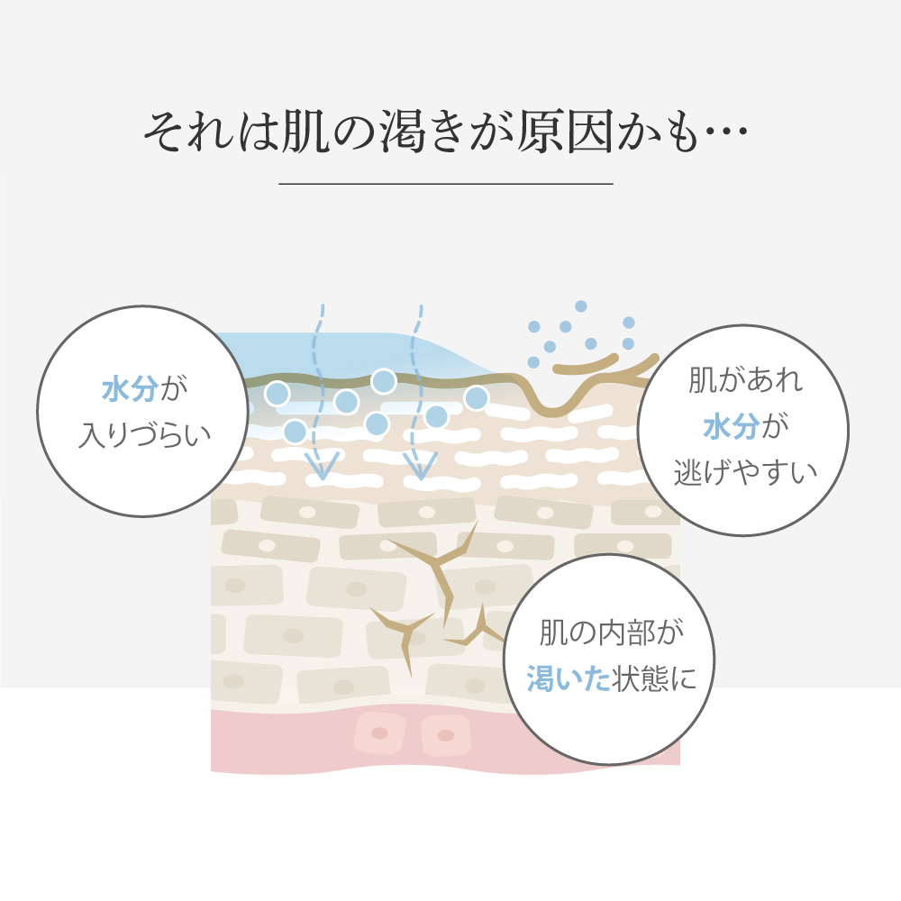 アースハート SC リッチローション 100ml