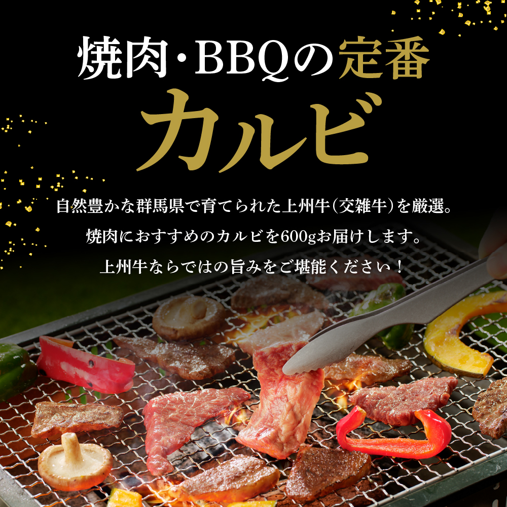 牛肉 カルビ 【上州牛】 600g  群馬 県 千代田町