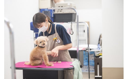 トリミング＆写真撮影利用補助券　1500円分【 犬 猫 ドッグ キャット ねこちゃん わんちゃん ワンちゃん ペットトリミング チケット 】