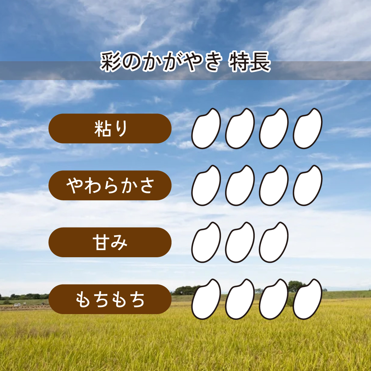 【令和6年産】埼玉県産　彩のかがやき　5kg