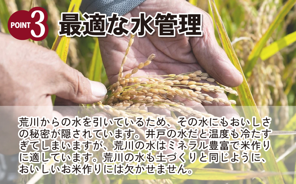 【令和6年産】 埼玉県産 彩のかがやき 10kg (5kg×2袋) | 米 おこめ お米 こめ コメ ごはん ご飯 白飯 ゴハン 白米 精米 特産 ブランド米 10キロ 米 ごはん 健康 おいしい kome 和食 安全 安心 大粒 弾力 甘み 旨み 粘り おすすめ TKG 卵かけご飯 おにぎり おむすび うめ 鮭 海苔 コシヒカリ 化粧箱 贈答 ギフト プレゼント 埼玉県 北本市