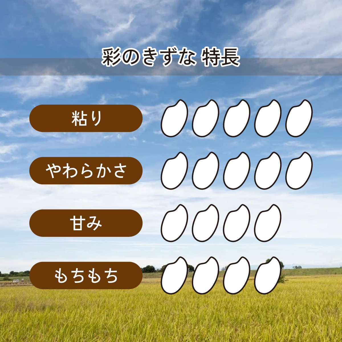 【令和6年産】埼玉県産　彩のきずな　10kg（5kg×2袋）