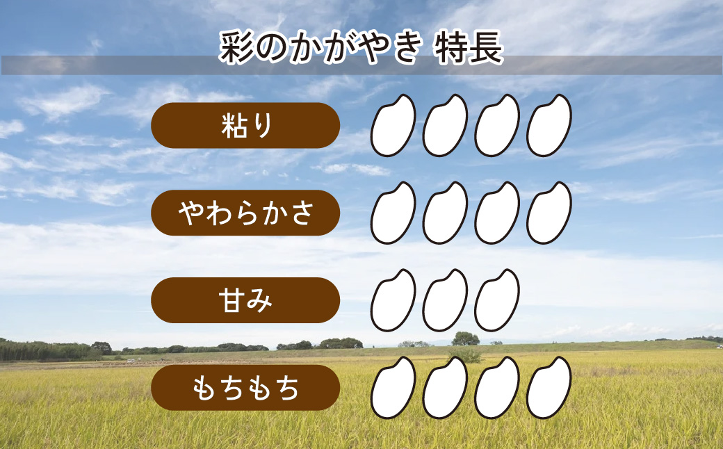 【令和6年産】 埼玉県産 彩のかがやき 10kg (5kg×2袋) | 米 おこめ お米 こめ コメ ごはん ご飯 白飯 ゴハン 白米 精米 特産 ブランド米 10キロ 米 ごはん 健康 おいしい kome 和食 安全 安心 大粒 弾力 甘み 旨み 粘り おすすめ TKG 卵かけご飯 おにぎり おむすび うめ 鮭 海苔 コシヒカリ 化粧箱 贈答 ギフト プレゼント 埼玉県 北本市