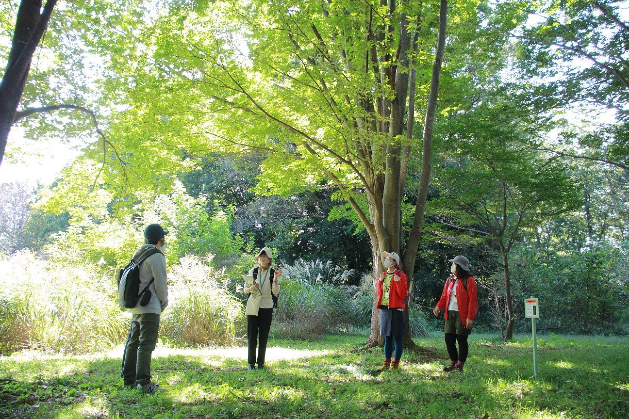 きたもと森林セラピー 体験コース（1〜3名）