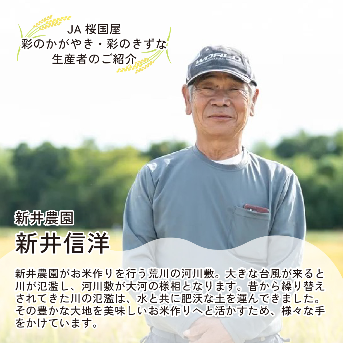 【令和6年産】埼玉県産　彩のきずな　10kg（5kg×2袋）