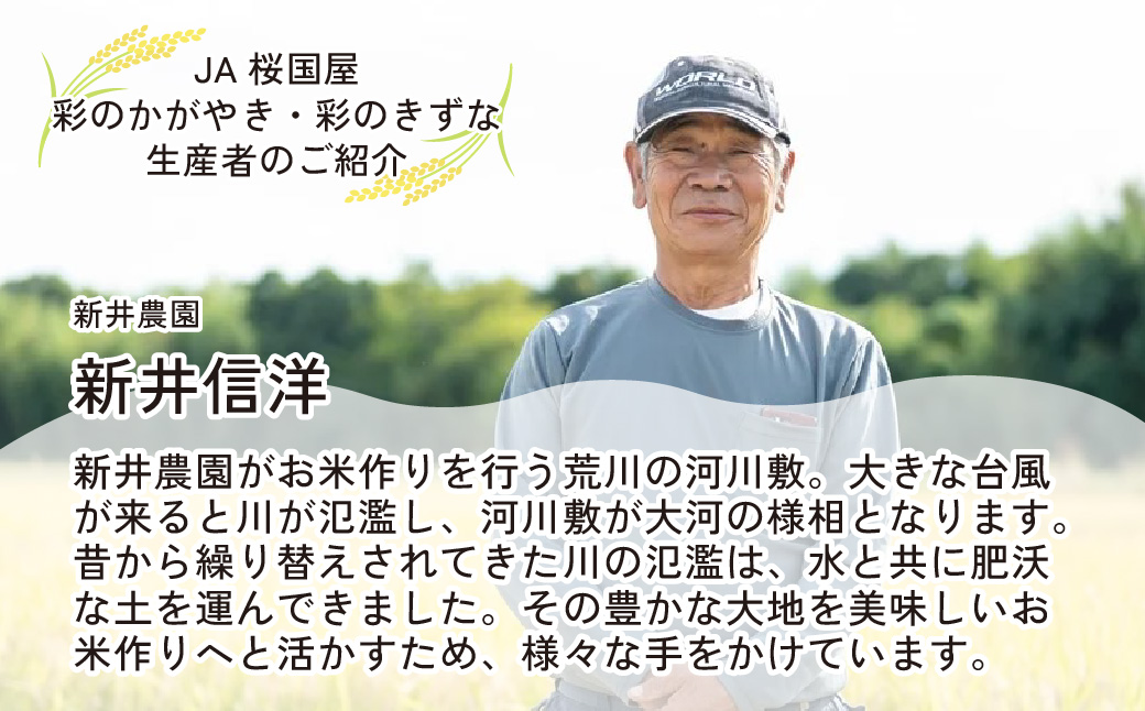 【令和6年産】 埼玉県産 彩のかがやき 10kg (5kg×2袋) | 米 おこめ お米 こめ コメ ごはん ご飯 白飯 ゴハン 白米 精米 特産 ブランド米 10キロ 米 ごはん 健康 おいしい kome 和食 安全 安心 大粒 弾力 甘み 旨み 粘り おすすめ TKG 卵かけご飯 おにぎり おむすび うめ 鮭 海苔 コシヒカリ 化粧箱 贈答 ギフト プレゼント 埼玉県 北本市