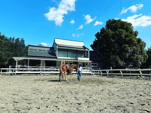 四街道グリーンヒル乗馬クラブ 店頭利用券 50000円分 / 乗馬体験 ビジターレッスン 自馬預託料