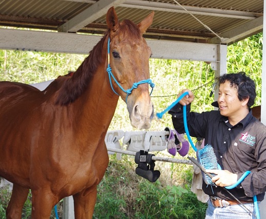 四街道グリーンヒル乗馬クラブ 店頭利用券 50000円分 / 乗馬体験 ビジターレッスン 自馬預託料