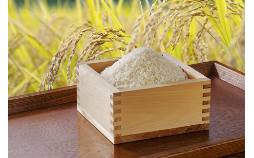 定期便 6回 こだわり 粒すけ 白米 9kg / お米 つぶすけ 精米 厳選 米 ごはん ご飯 産地直送