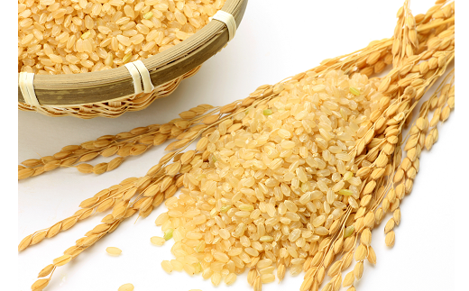 定期便 6回 こだわり 粒すけ 玄米 10kg / お米 つぶすけ 厳選 米 ごはん ご飯 産地直送