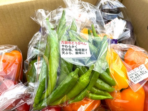 おがわ農園　季節野菜の詰め合わせ ／ セット サラダ 千葉県 特産品
