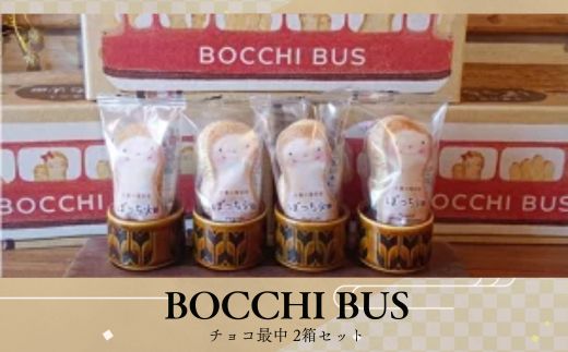 BOCCHI BUS 落花生 チョコ最中 2箱セット / 落花生 チョコ最中