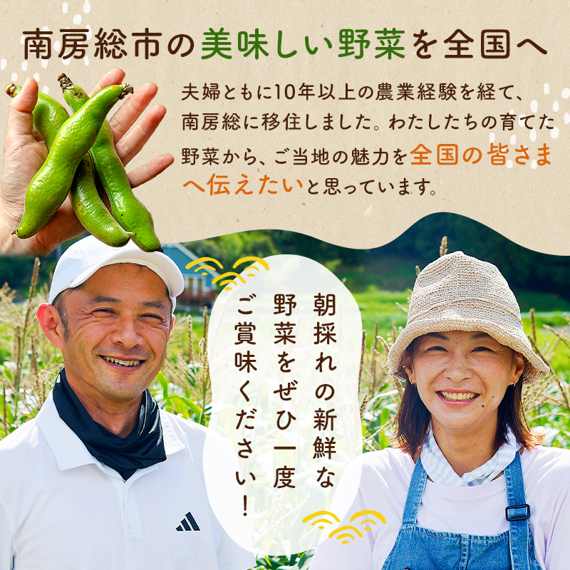 【先行受付 2025年4月25日頃～5月中旬発送予定】朝採れ房州そら豆3kg 【野菜 豆 塩茹 そら豆ご飯 パスタ 春巻き ポタージュ おつまみ】