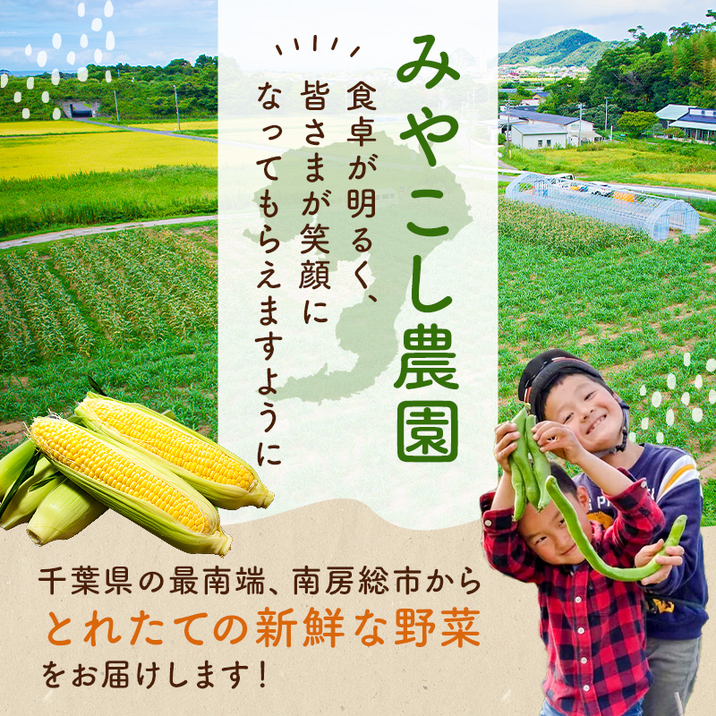 【翌日配送】【先行受付 2025年6月20日～8月上旬発送予定】早朝収穫！とうもろこし10～12本（味甘ちゃん・みかんちゃん）【本州限定のお届け】 野菜 とうもろこし 甘味