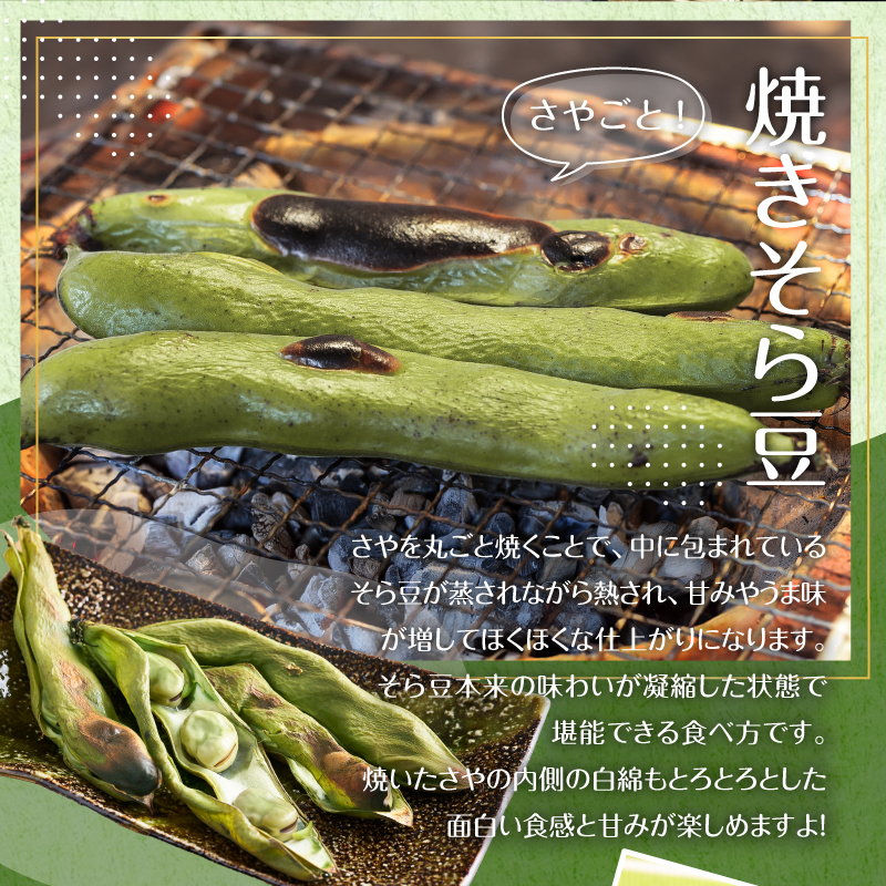 【先行受付 2025年4月25日頃～5月中旬発送予定】朝採れ房州そら豆3kg 【野菜 豆 塩茹 そら豆ご飯 パスタ 春巻き ポタージュ おつまみ】