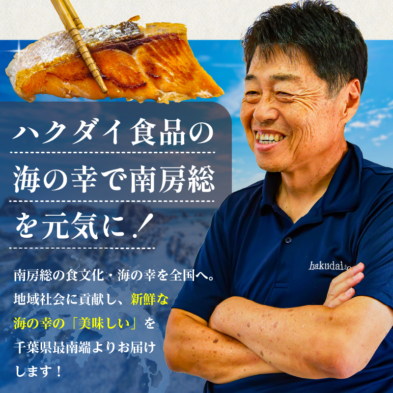 【2025年2月発送】【訳あり】骨取り塩さば　切身500g（500g×1袋）  さば 切り身 骨取り 骨抜き 骨なし 魚 小分け 不揃い 個別冷凍 魚介 お弁当 惣菜 おかず 塩焼き 味噌焼 味噌煮 千葉県 南房総市