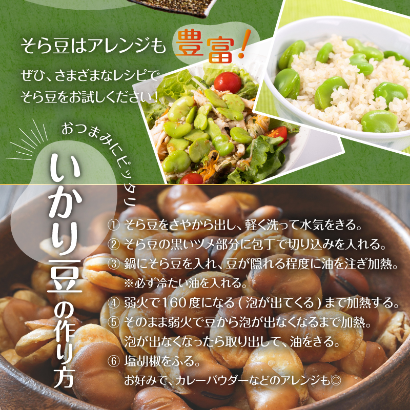 【先行受付 2025年4月25日頃～5月中旬発送予定】朝採れ房州そら豆3kg 【野菜 豆 塩茹 そら豆ご飯 パスタ 春巻き ポタージュ おつまみ】