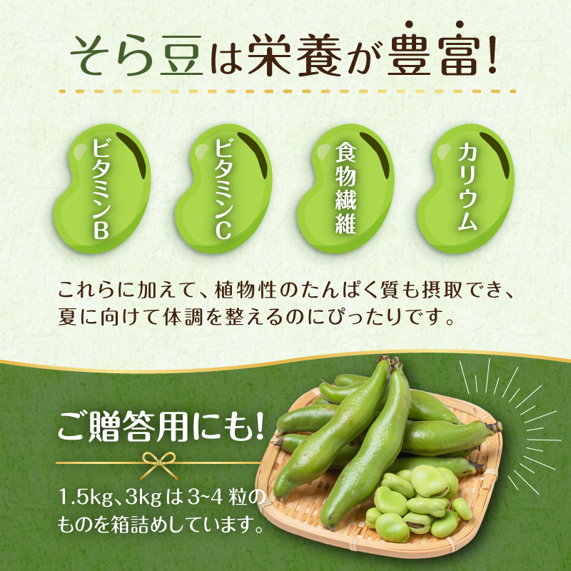 【先行受付 2025年4月25日頃～5月中旬発送予定】朝採れ房州そら豆3kg 【野菜 豆 塩茹 そら豆ご飯 パスタ 春巻き ポタージュ おつまみ】