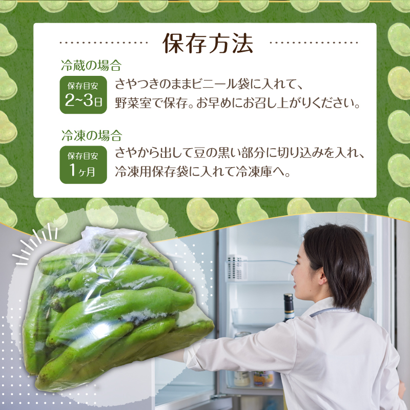 【先行受付 2025年4月25日頃～5月中旬発送予定】朝採れ房州そら豆3kg 【野菜 豆 塩茹 そら豆ご飯 パスタ 春巻き ポタージュ おつまみ】