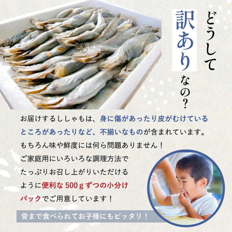 【訳あり】 ししゃも 子持ちシシャモ 1.5kg （500g×3袋） 傷 小分け 