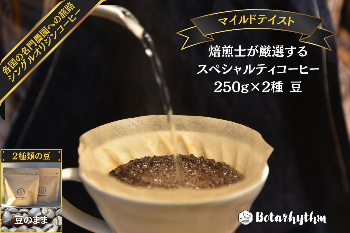 スペシャルティーコーヒー 【マイルドテイスト】 250g×2種類【豆のまま】 