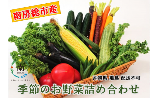 【南房総市産】季節のお野菜詰め合わせ 