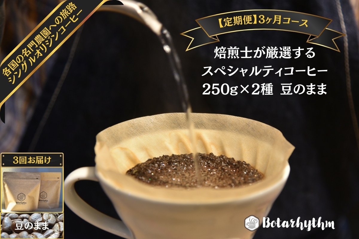 [定期便]スペシャルティコーヒー[豆]定期便 250g×2種 3ヶ月