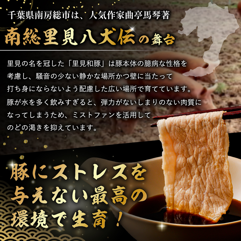 房総ブランド豚　里見和豚　小分け　挽肉800g（100g×8パック）個別包装　トレイ不使用 