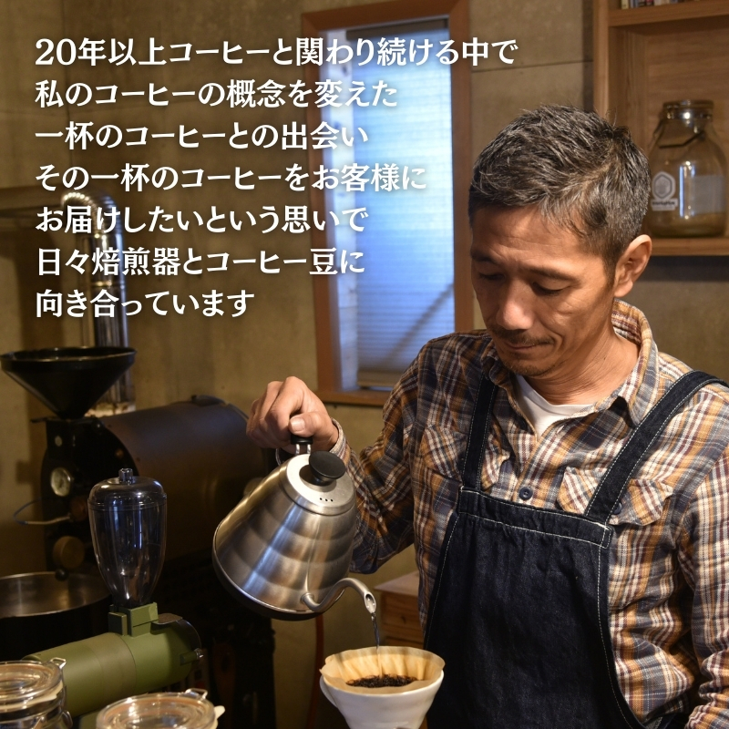 スペシャルティーコーヒー 【マイルドテイスト】 250g×2種類【中細挽き】 