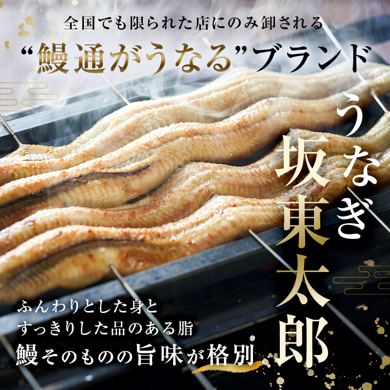 のし対応可能 国産 うなぎ 「坂東太郎 使用」 蒲焼 2串 ・ 白焼 1串 大サイズ 130g前後×3串 