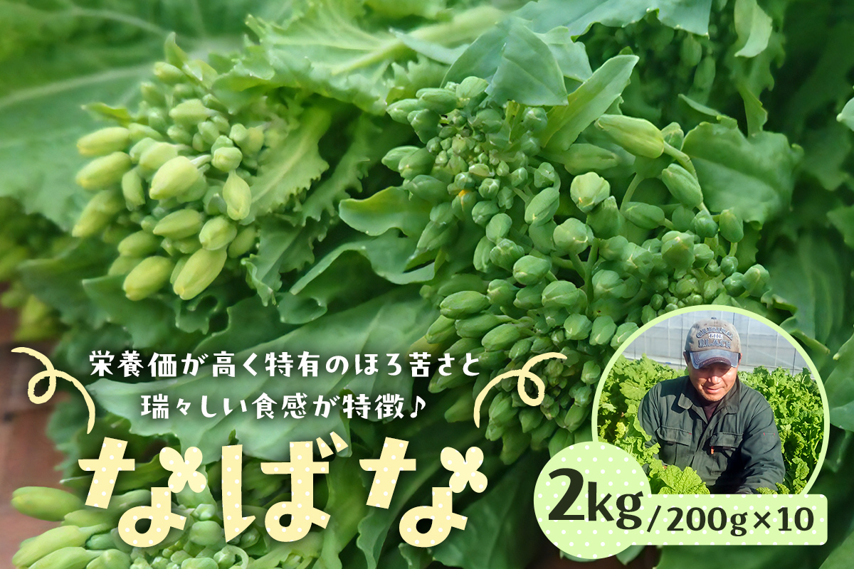 【先行受付 2024年12月中旬～2025年3月上旬発送予定】菜の花/ナバナ 2kg 緑黄色野菜 旬野菜 季節野菜 栄養 千葉県 特産品