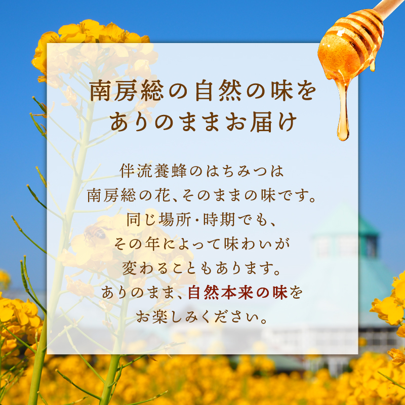 【国産・100％天然】百花はちみつ（520g・とんがりポリ容器）祖父から引き継いだ自慢の一品 