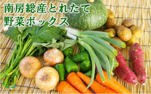 南房総産とれたて野菜ボックス 