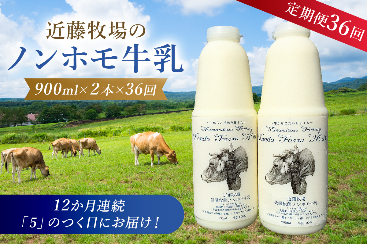 【定期便】近藤牧場のノンホモ牛乳 900ml×2本「5」のつく日36回連続（12か月分）でお届け 