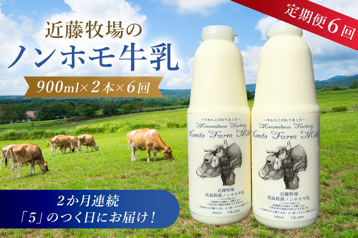 【定期便】近藤牧場のノンホモ牛乳 900ml×2本「5」のつく日6回連続（2か月分）でお届け 